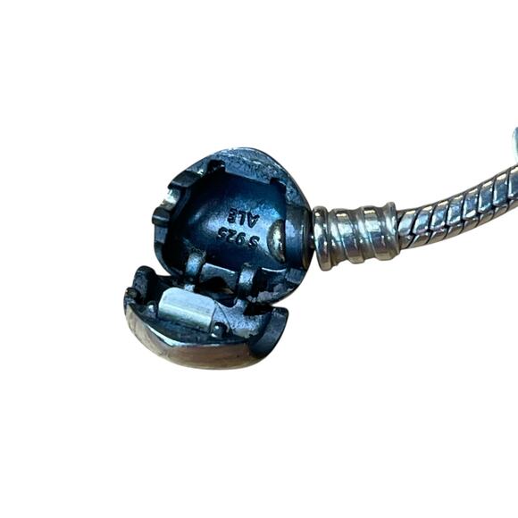 Pandora 925 Sterling Silver Bracelet with Rose Charm & Family Heart Dangle - Picture 9 of 12